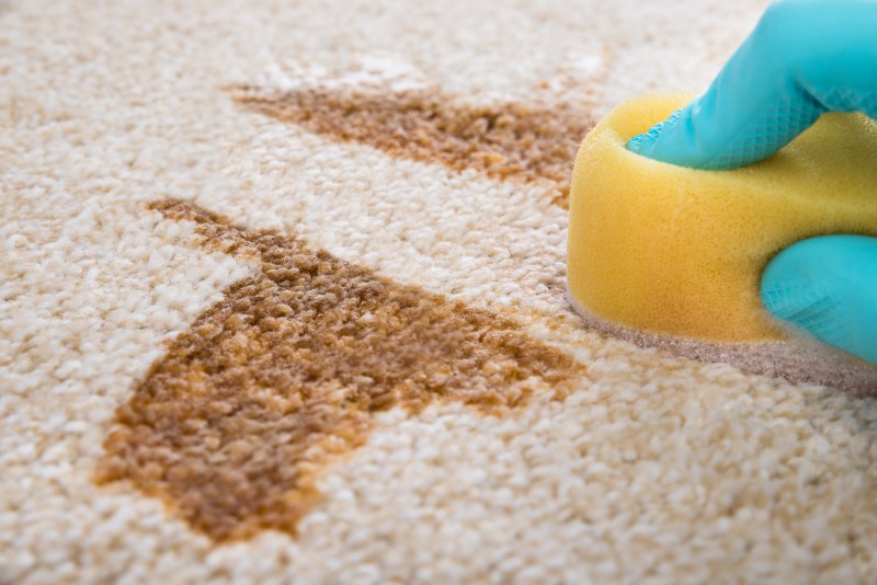 Tipps zum Teeflecken entfernen