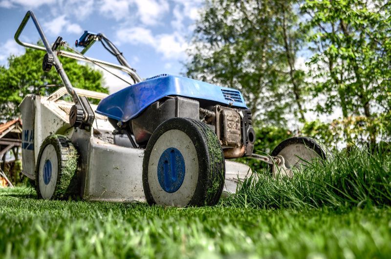 Tipps & Anleitung zum Rasen mähen