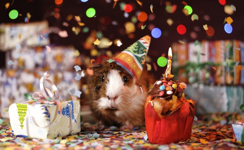 Mottoparty Kindergeburtstag