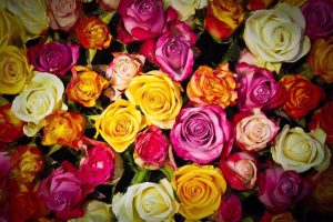 Blumen online bestellen & verschicken