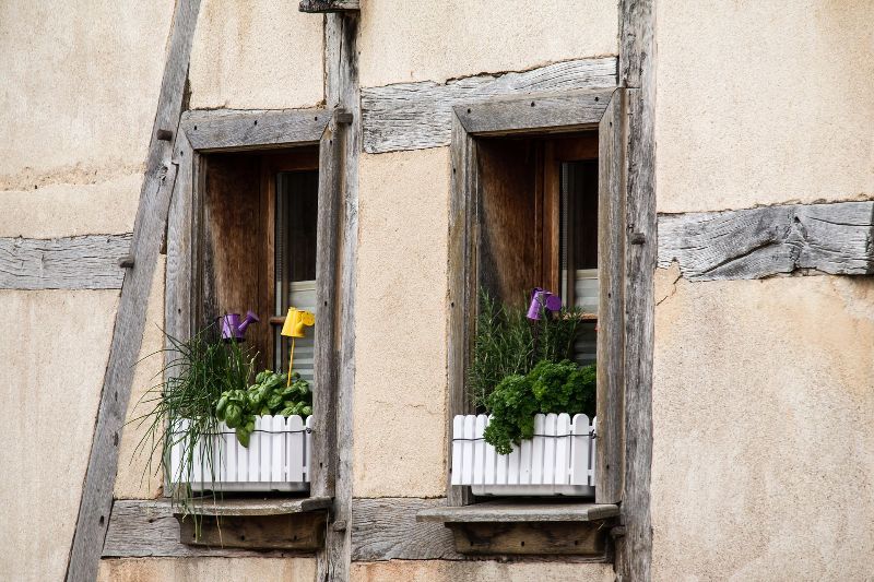 Kräuter auf der Fensterbank