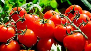 Tomaten