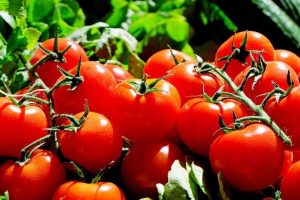 Tomaten