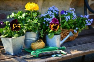 Sicherheit Gartenarbeit im Sommer