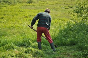 Tipps Ausstattung Gartenarbeit