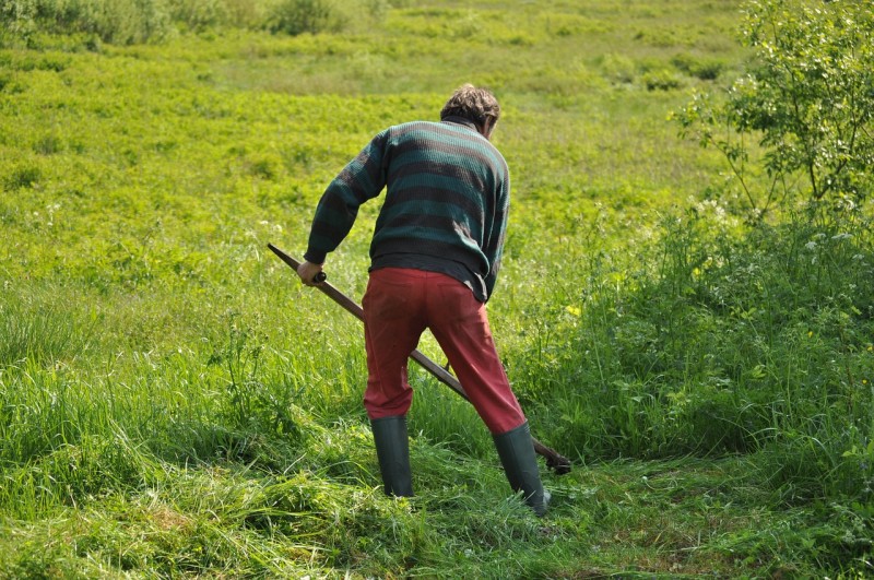 Tipps Ausstattung Gartenarbeit