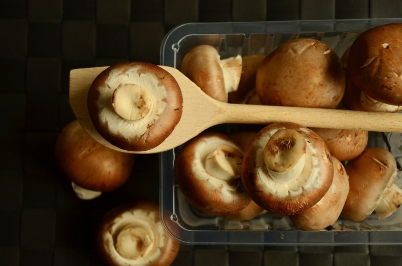 Pilze einfrieren und Pilze aufwärmen
