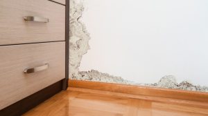 Luftfeuchtigkeit reduzieren