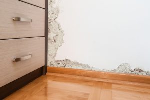 Luftfeuchtigkeit reduzieren