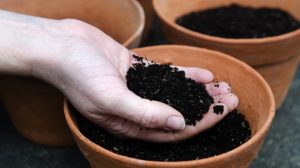 Blumenerde selber machen