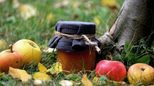 Marmelade ohne Zucker