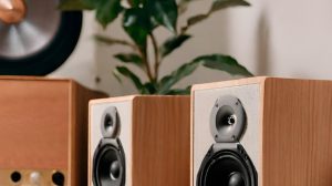 Staub wischen bei Lautsprechern und Hifigeräten.