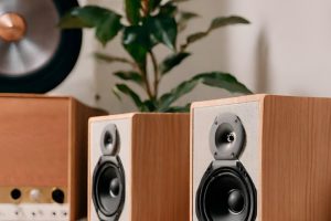 Staub wischen bei Lautsprechern und Hifigeräten.