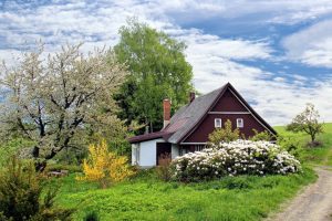 Garten professionell anlegen