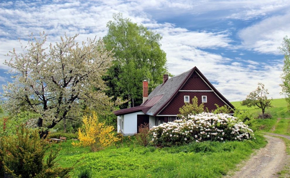 Garten professionell anlegen