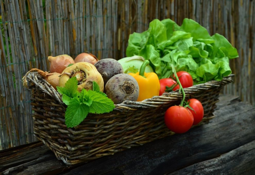 Obst Gemüse Garten